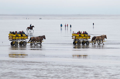 Nordsee-Küstenradweg