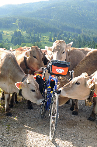 Bodensee-Königssee-Radweg