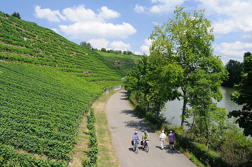 Neckartal-Radweg