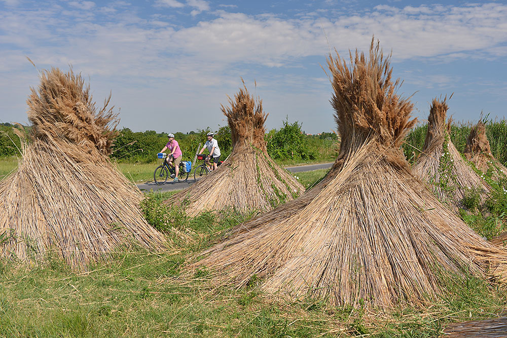 Neusiedler See Rundfahrt