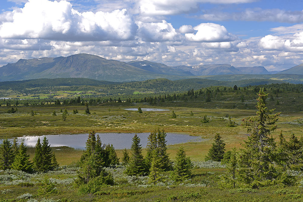 Norwegen Valdres Fahrradreise