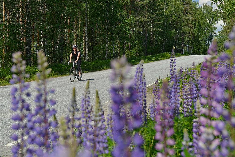 Saimaa-Seengebiet