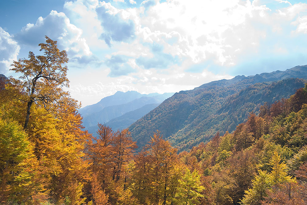 montenegro-herbst.jpg