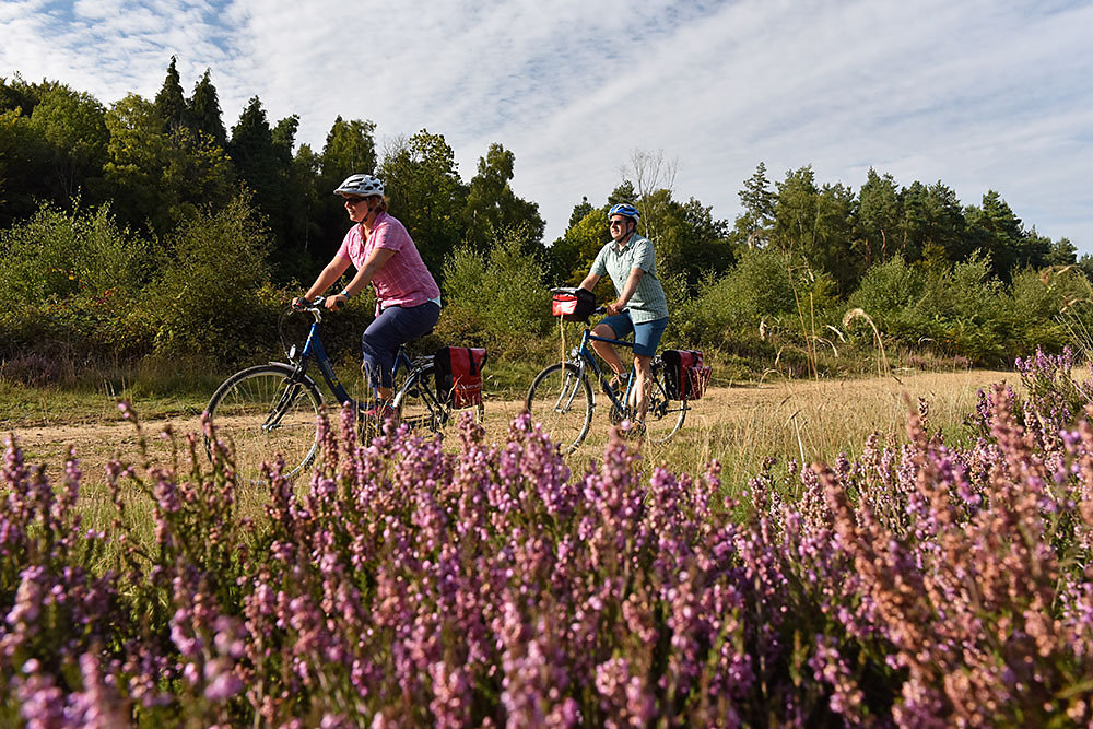 fahrrad-england.jpg