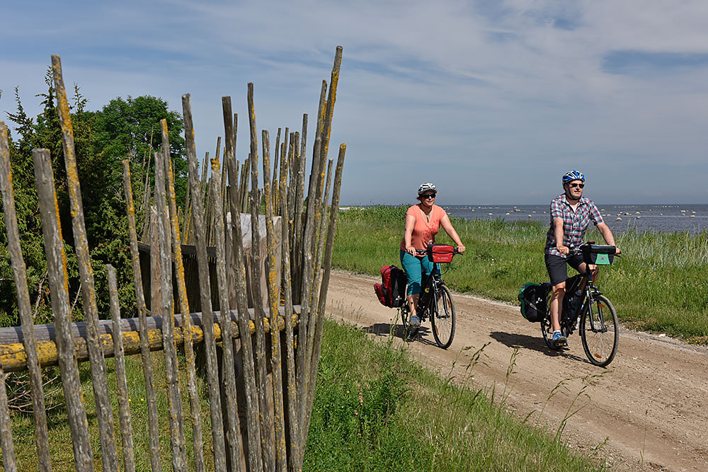 radfahren-estland.jpg