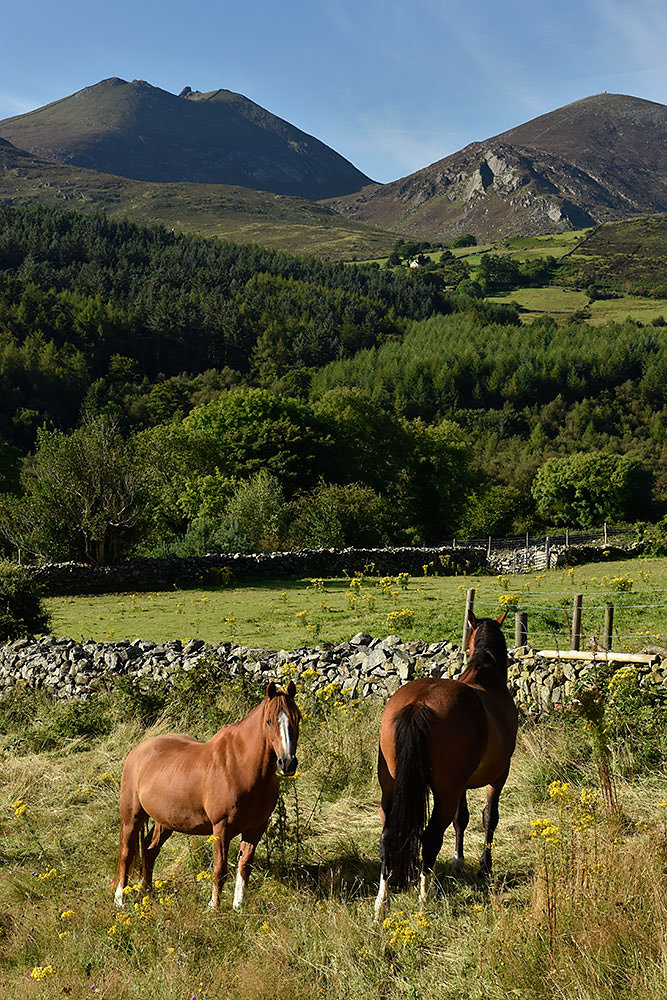 Sperrin-Mountains-Nordirland.jpg