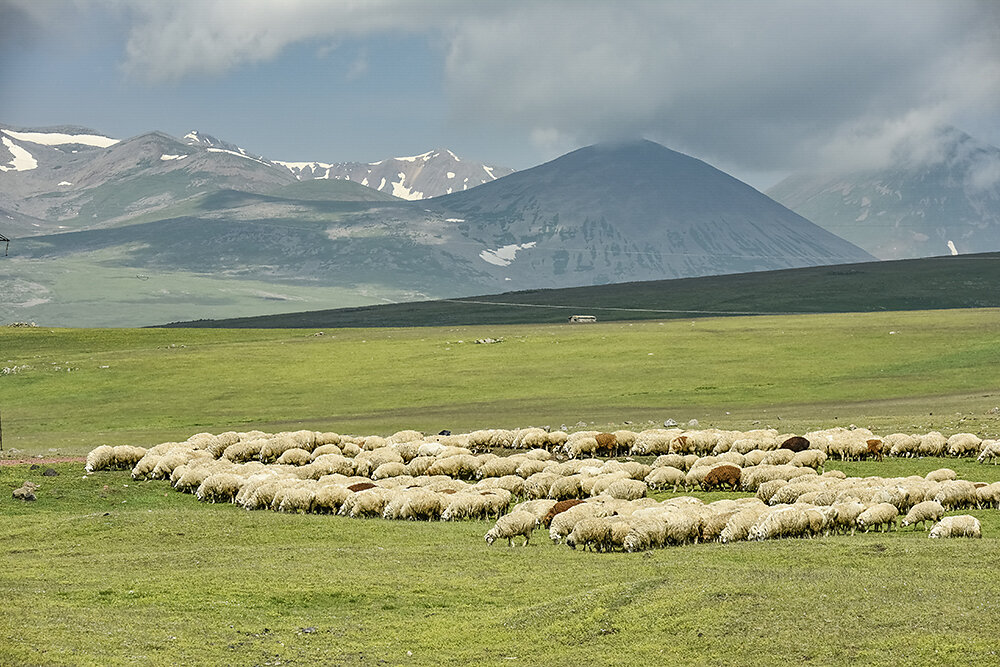 Georgien-Kleiner-Kaukasus.jpg