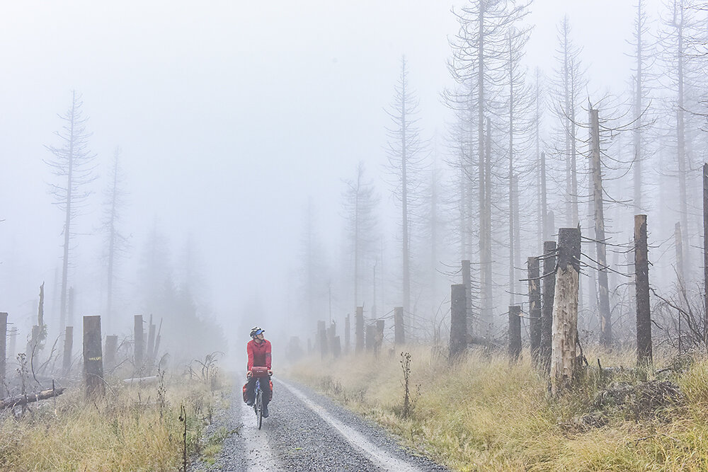 Nationalpark-Harz.jpg