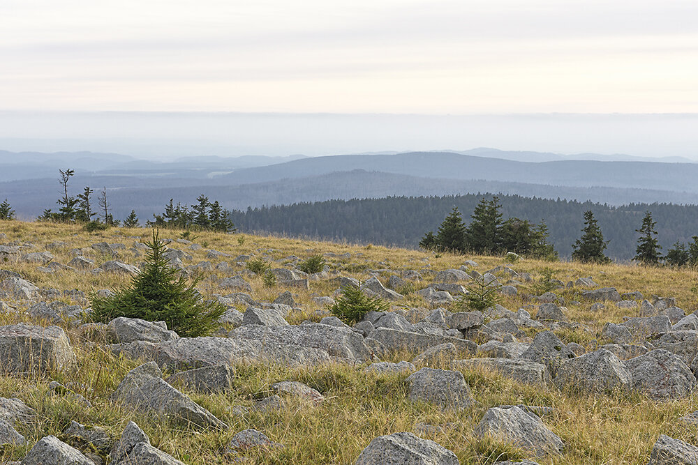 Berg-Brocken-Harz.JPG