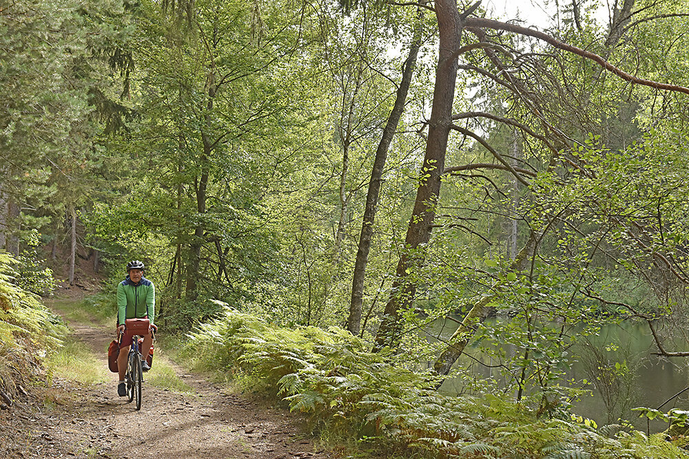 Radfahren-Pfalz.jpg