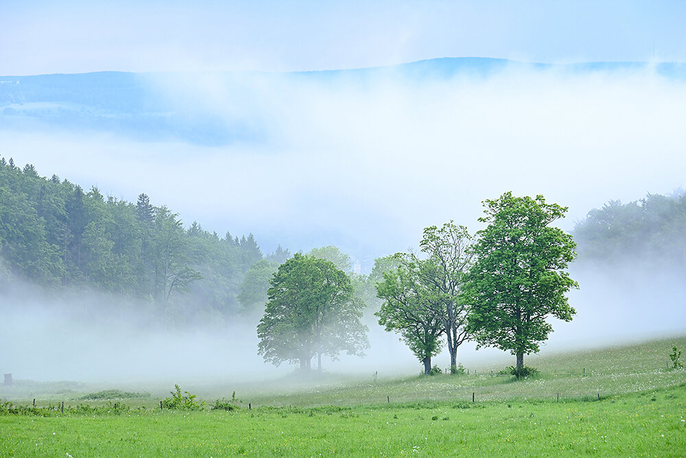 Erzgebirge-Sommer.jpg